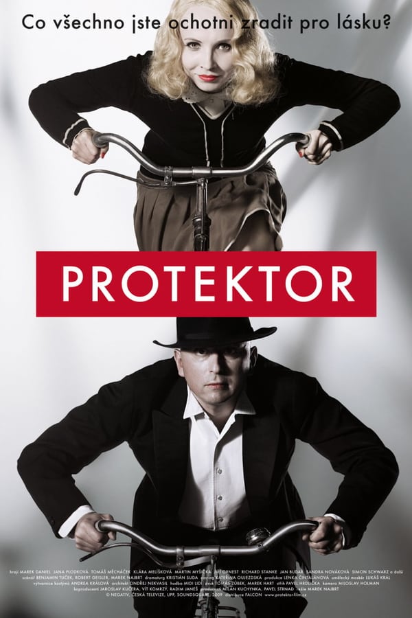 Cover of the movie The Protector