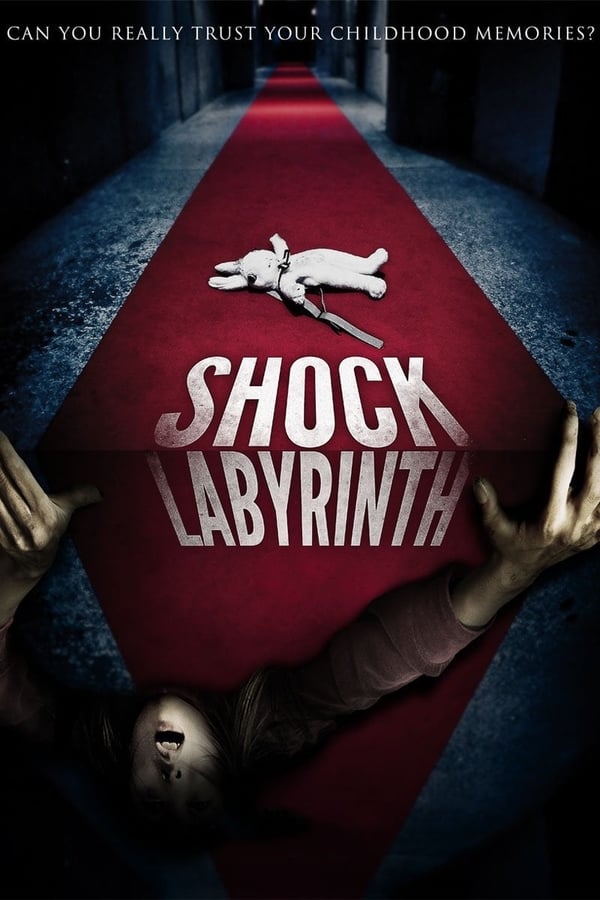 Cover of the movie The Shock Labyrinth