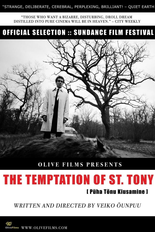 Cover of the movie The Temptation of St. Tony