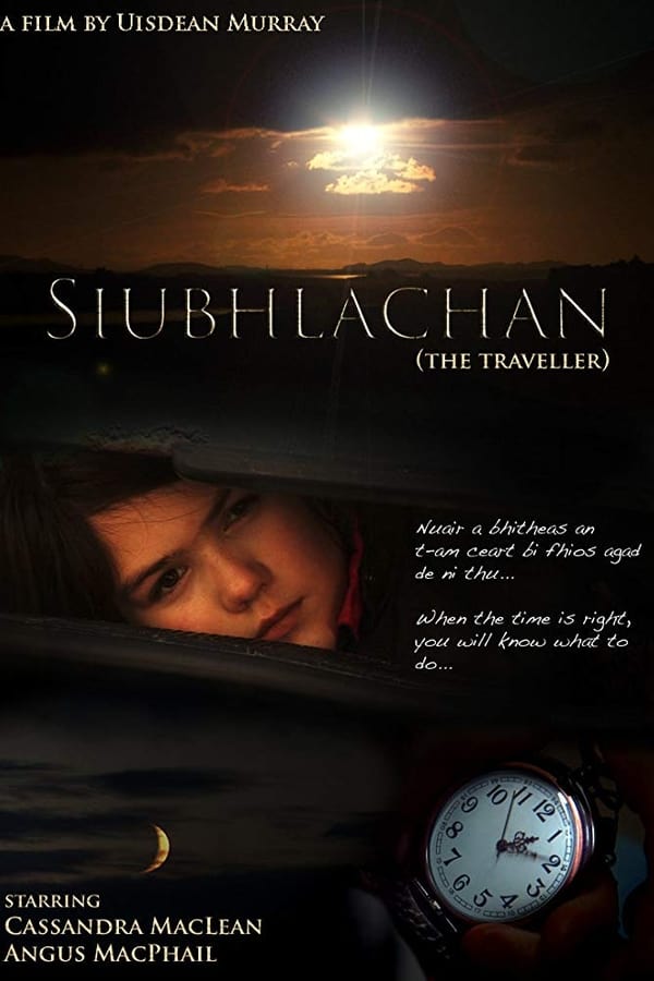 Cover of the movie The Traveller