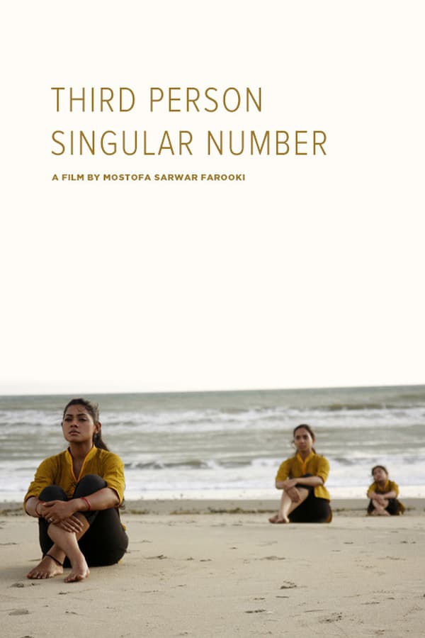 Cover of the movie Third Person Singular Number