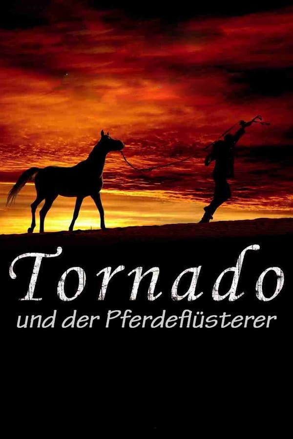 Cover of the movie Tornado and the Kalahari Horse Whisperer