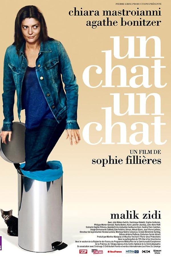 Cover of the movie Un chat un chat