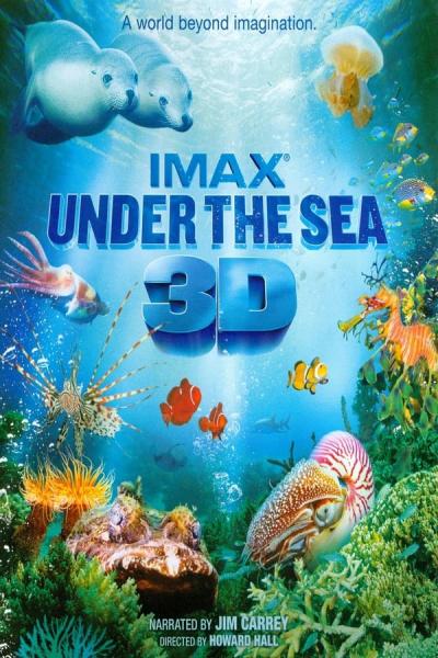 Cover of Under the Sea 3D