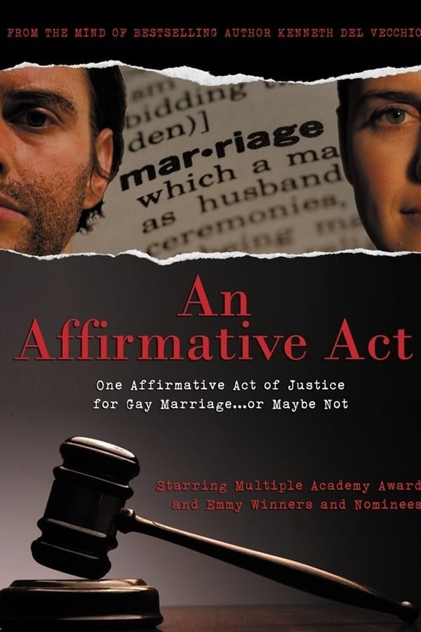 Cover of the movie An Affirmative Act