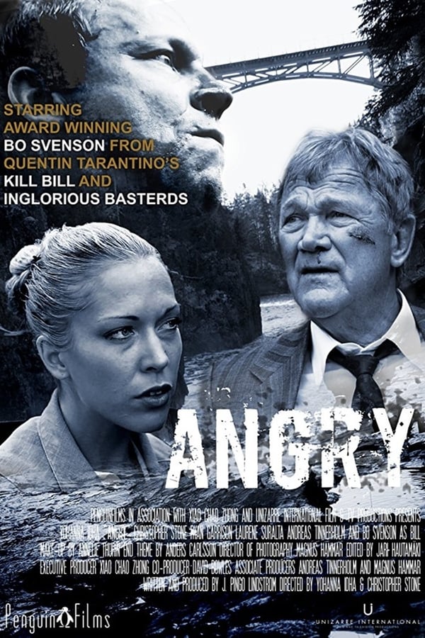 Cover of the movie Angry