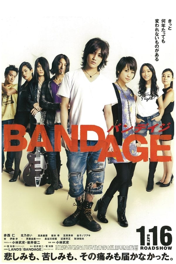 Cover of the movie Bandage
