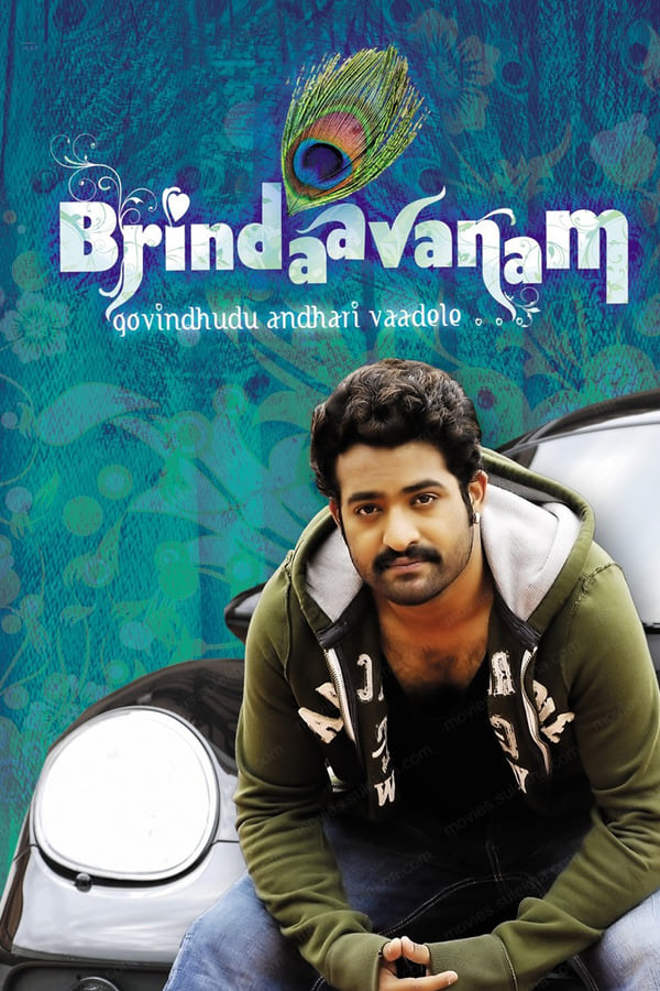 Cover of the movie Brindaavanam