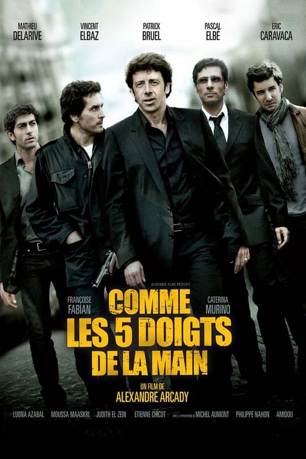 Cover of the movie Comme les 5 doigts de la main