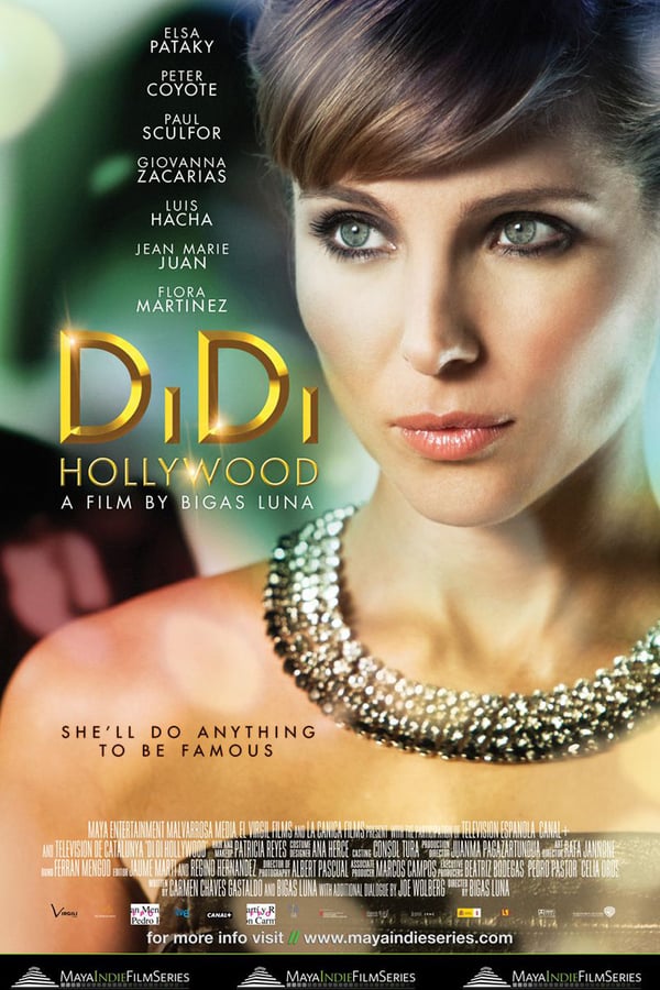 Cover of the movie DiDi Hollywood