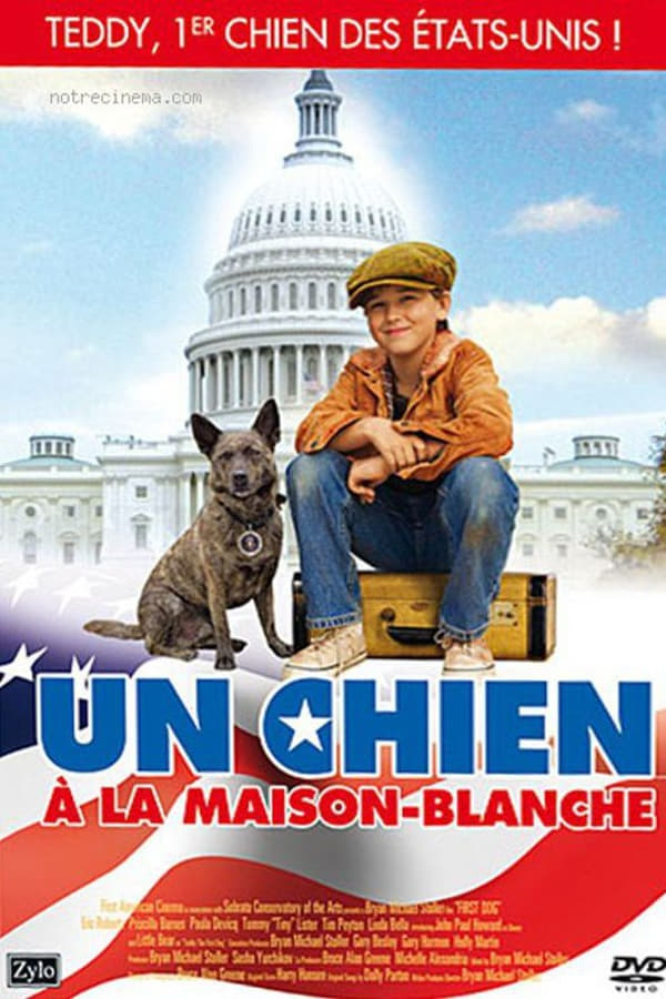 Cover of the movie First Dog