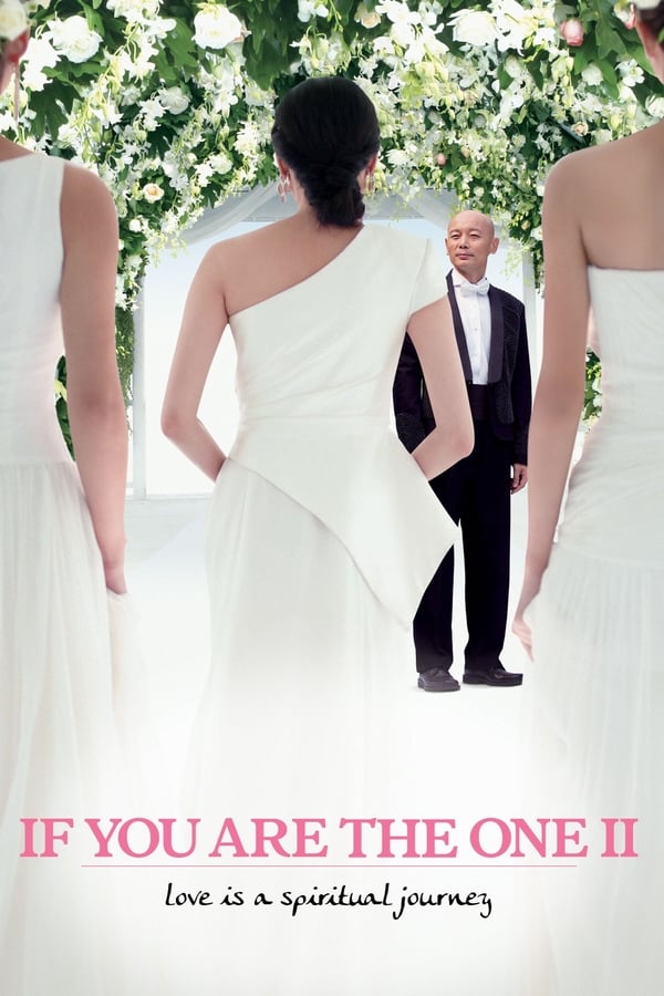 Cover of the movie If You Are the One 2