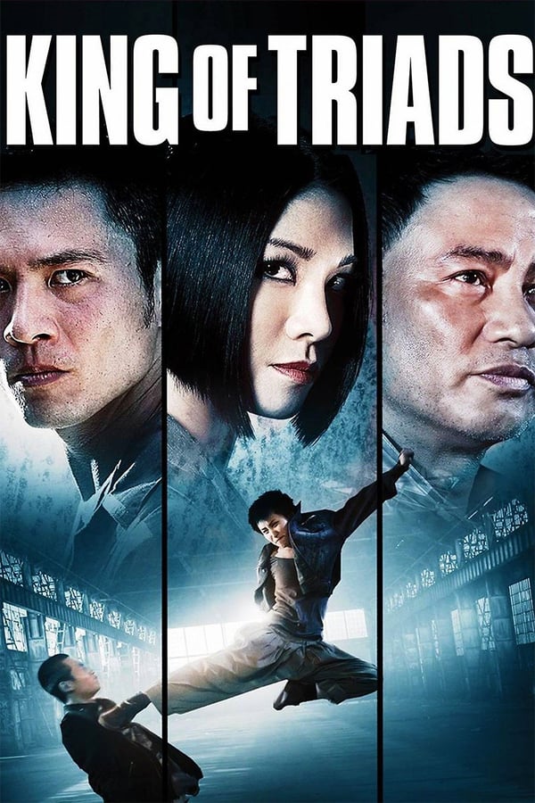 Cover of the movie King of Triads
