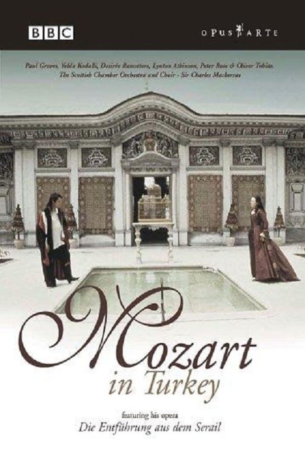 Cover of the movie Mozart in Turkey