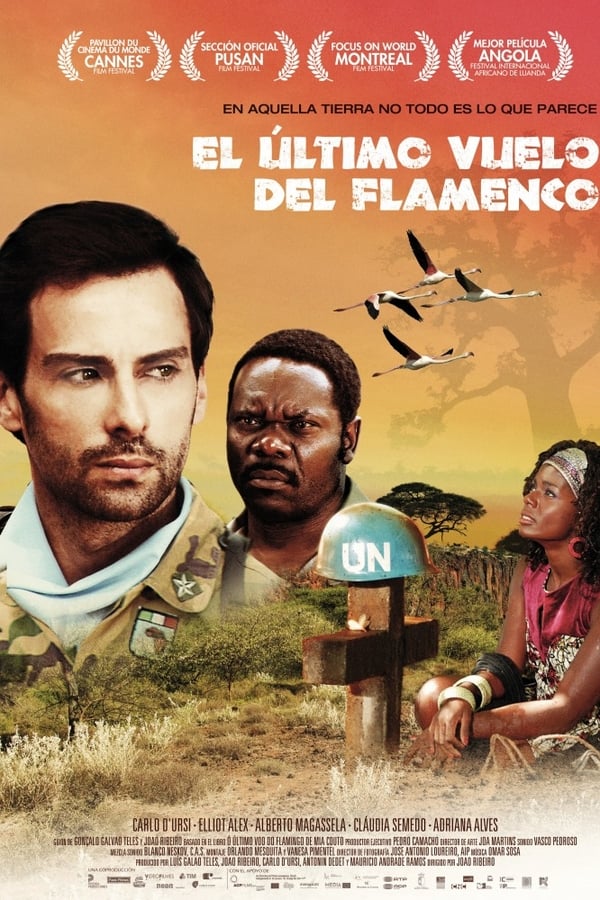 Cover of the movie O Último Voo do Flamingo