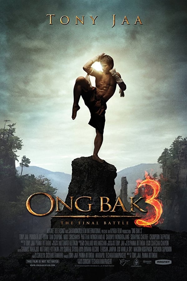 Cover of the movie Ong Bak 3