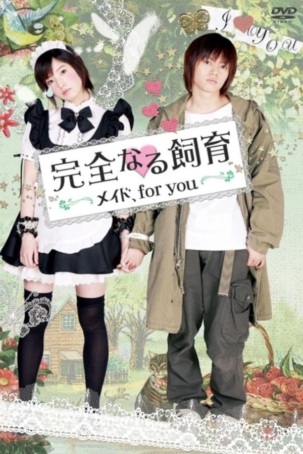 Cover of the movie Perfect Education: A Maid for You