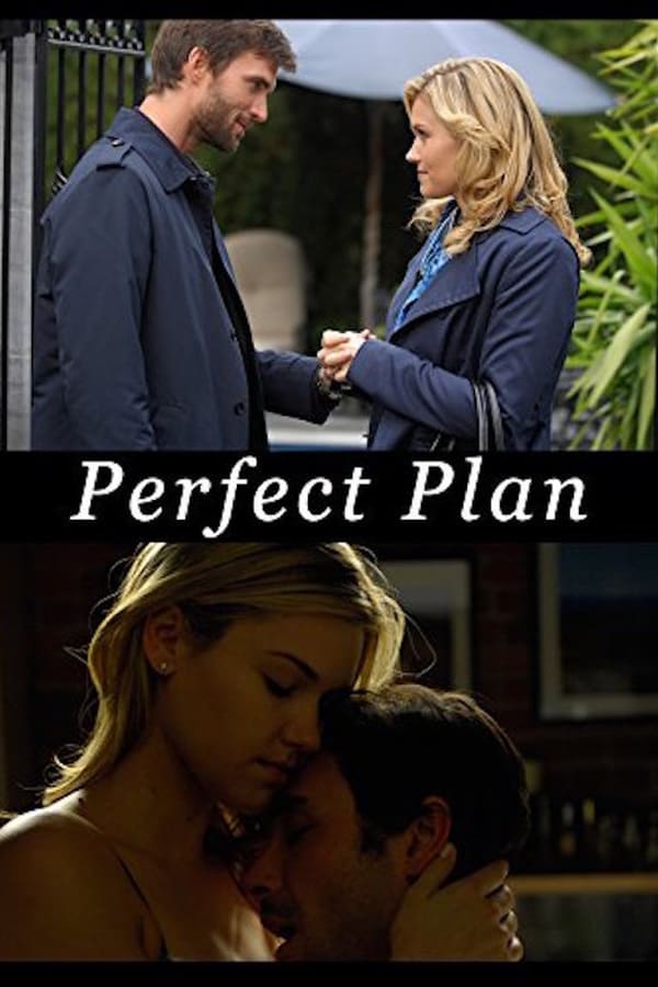 Cover of the movie Perfect Plan
