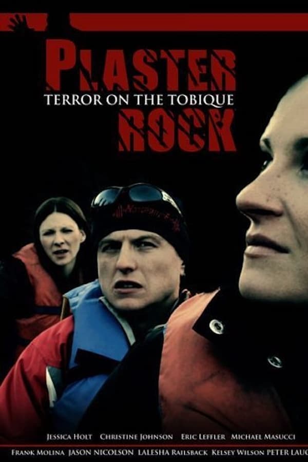 Cover of the movie Plaster Rock