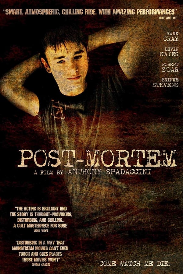 Cover of the movie Post-Mortem