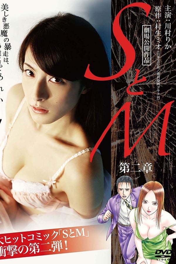 Cover of the movie S&M Chapter 2