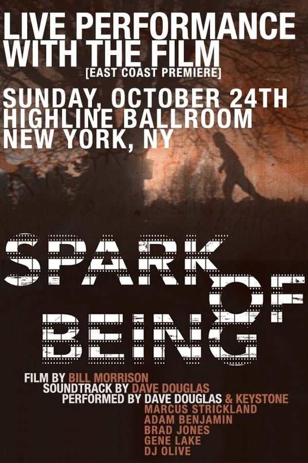 Cover of the movie Spark of Being