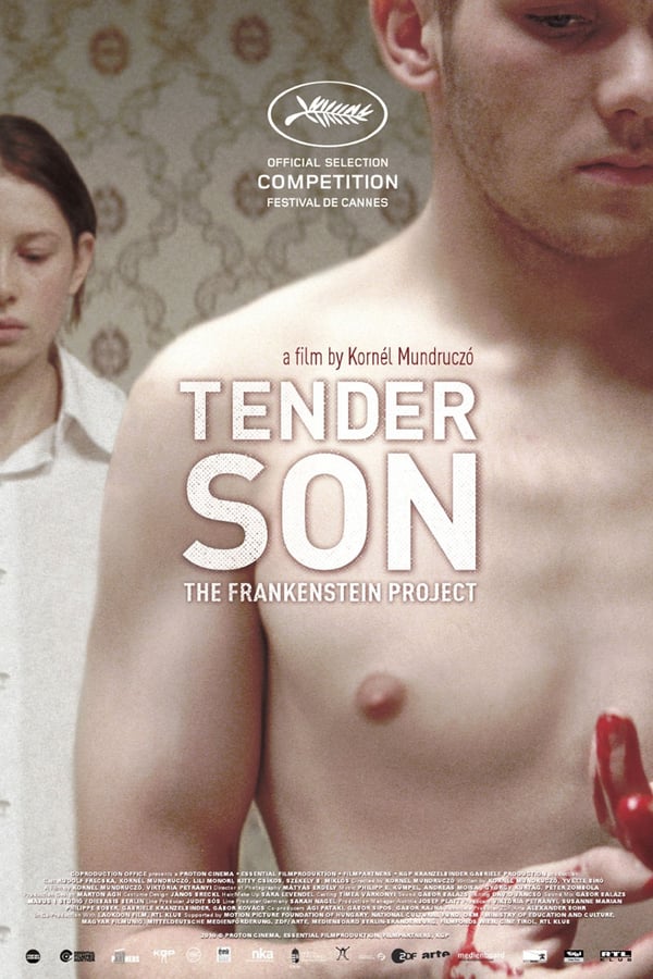 Cover of the movie Tender Son: The Frankenstein Project