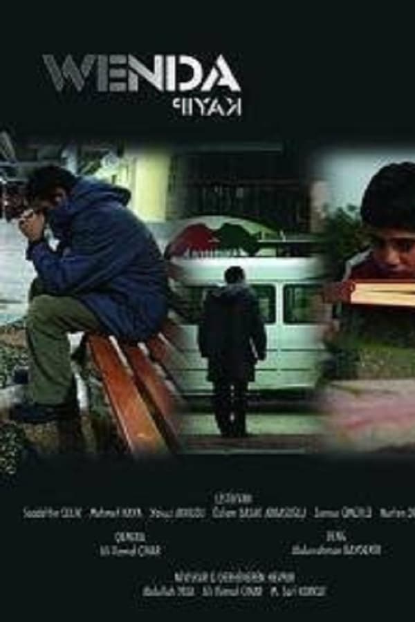 Cover of the movie The Missing