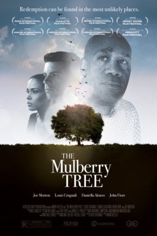 Cover of the movie The Mulberry Tree