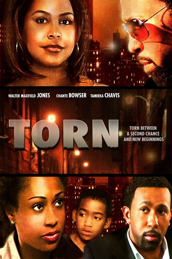 Cover of the movie Torn