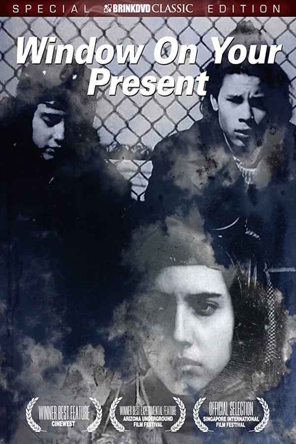 Cover of the movie Window on Your Present