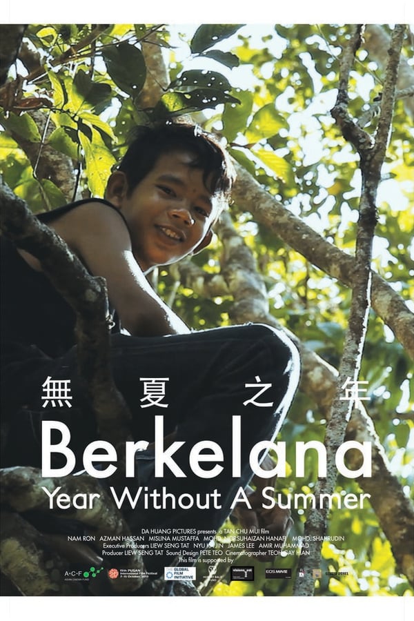 Cover of the movie Year Without A Summer