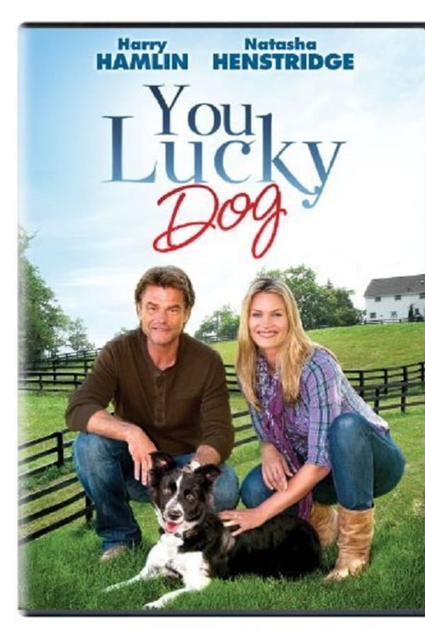 Cover of the movie You Lucky Dog