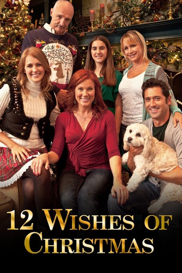 Cover of the movie 12 Wishes of Christmas
