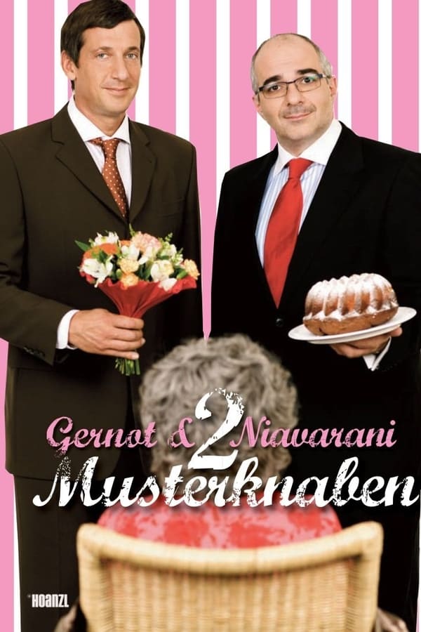 Cover of the movie 2 Musterknaben