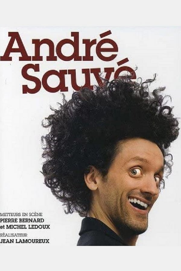 Cover of the movie André Sauvé