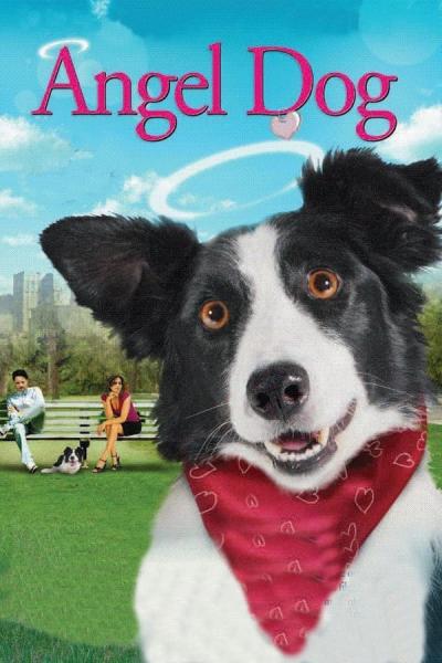 Cover of the movie Angel Dog