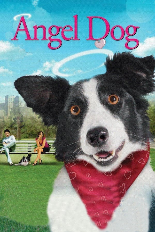 Cover of the movie Angel Dog