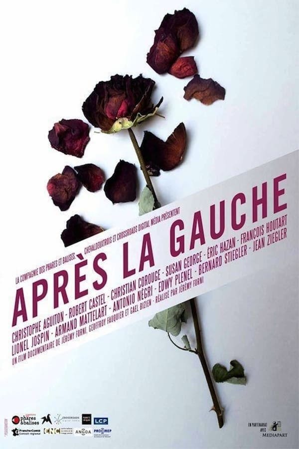 Cover of the movie Après la gauche
