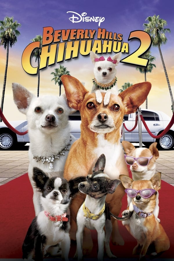 Cover of the movie Beverly Hills Chihuahua 2