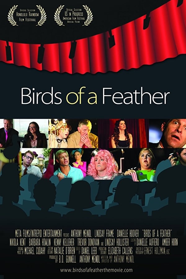 Cover of the movie Birds of a Feather