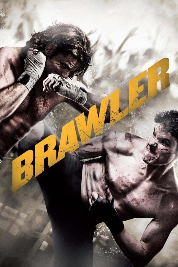 Cover of the movie Brawler