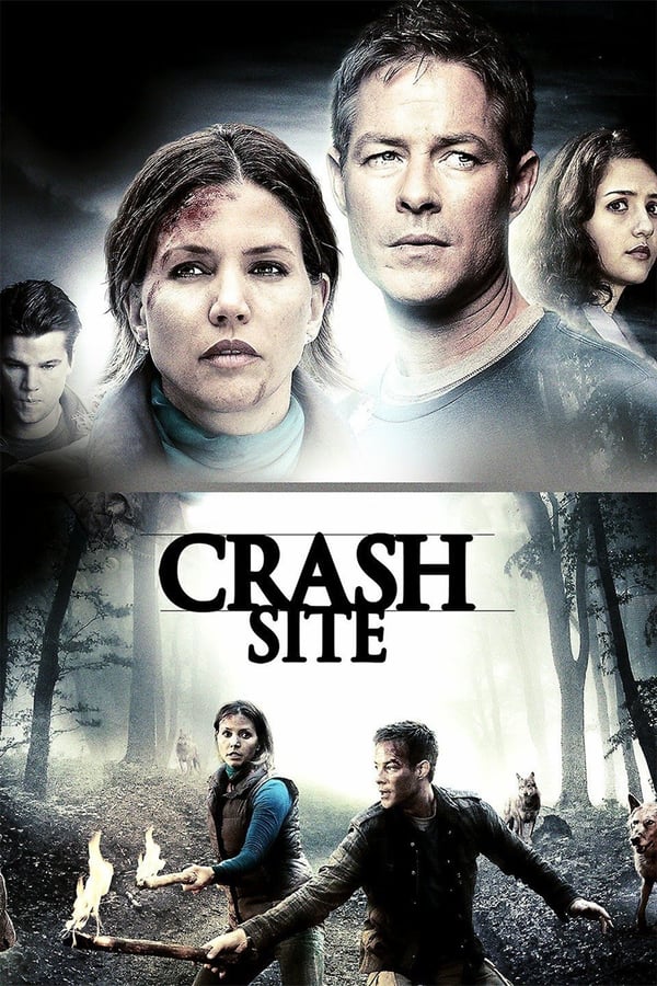 Cover of the movie Crash Site