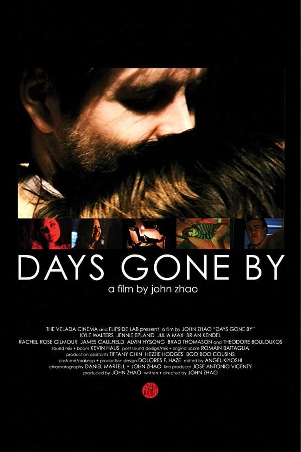 Cover of the movie Days Gone By