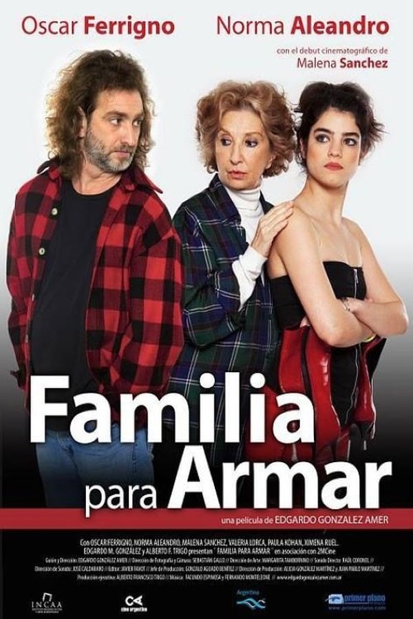 Cover of the movie Familia Para Armar