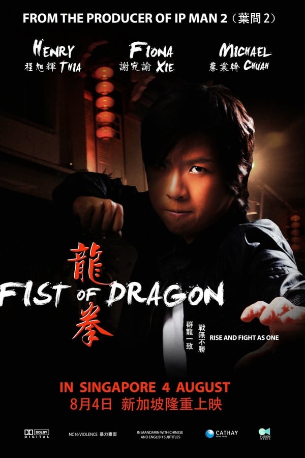 Cover of the movie Fist of Dragon