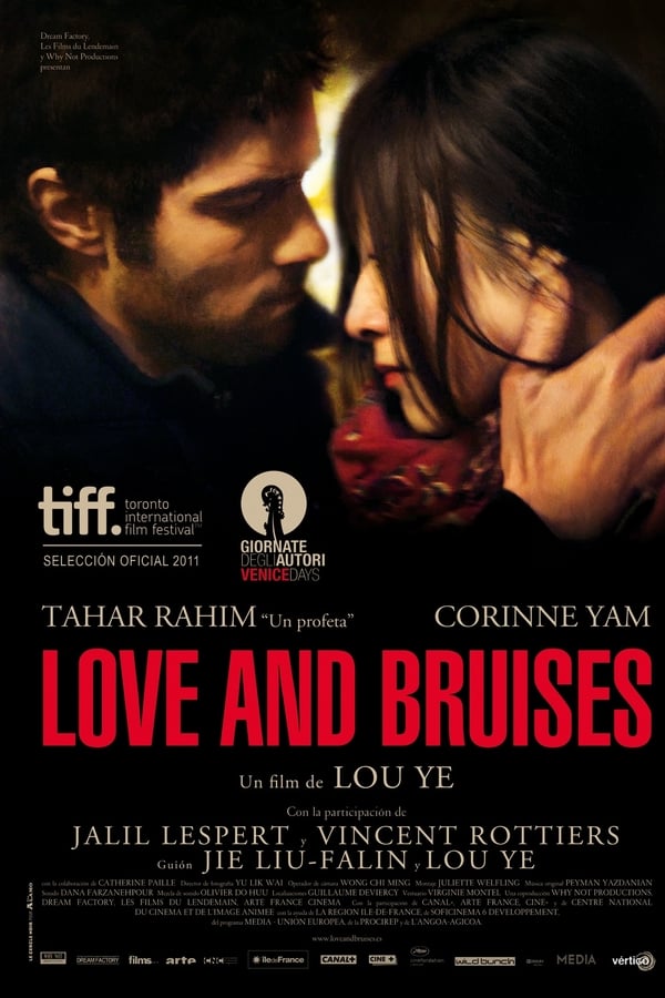 Cover of the movie Love and Bruises