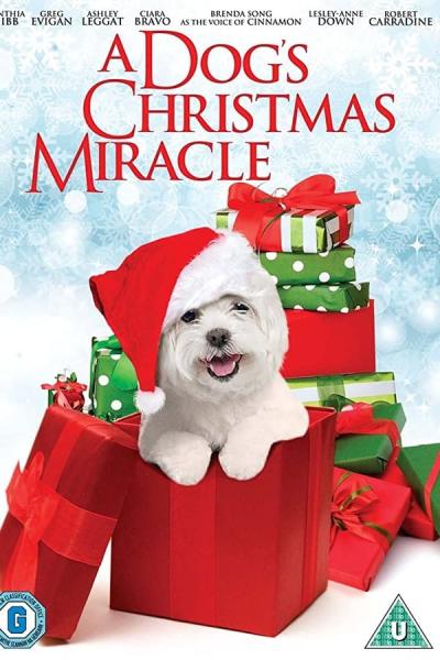 Cover of the movie My Dog's Christmas Miracle