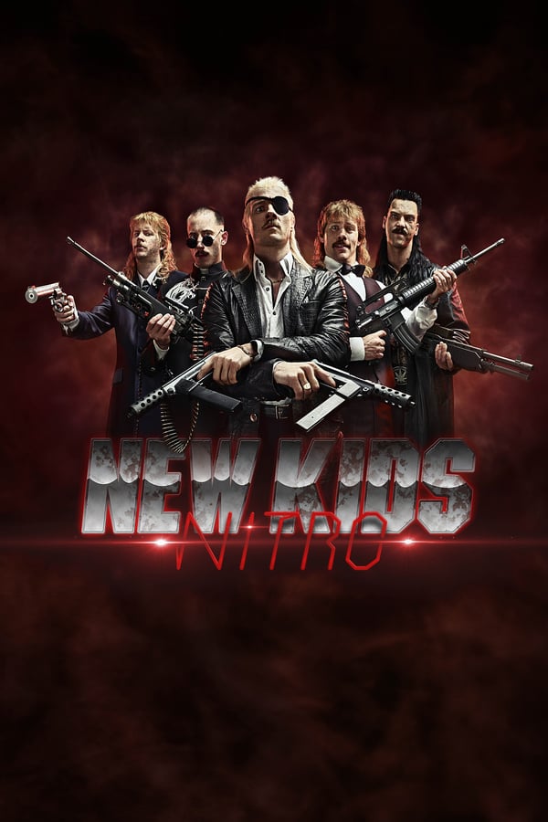 Cover of the movie New Kids Nitro