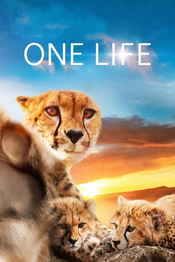 Cover of the movie One Life